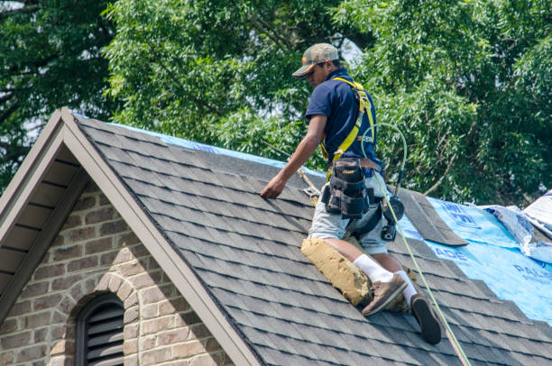 Roof Gutter Cleaning in Cornwells Heights, PA